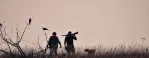 Firearms medical certificate appointment
